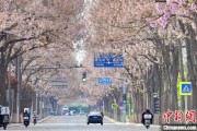 黑龙江共建“花园城市” 北京这场议政会“百花齐放”