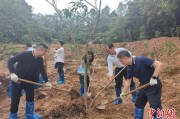 黑龙江广州已打造首批32处“绿美宗教活动场所”