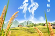 黑龙江芒种节气小知识来了 夏种作物都有什么？