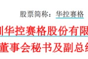 黑龙江华控赛格董事长、董秘、副总经理三高管同日辞职